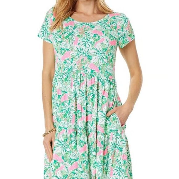 Lilly Pulitzer Dresses & Skirts - Lilly Pulitzer Geanna Swing Tiered Dress Just Wing It Botanical Green Size M